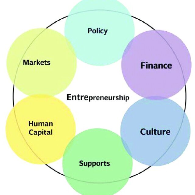 Entrepreneurship as a Career Option