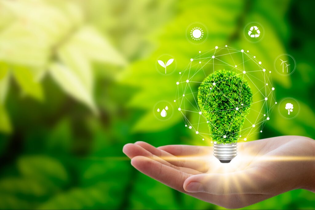 Sustainable Entrepreneurship