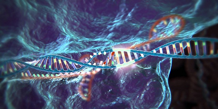 Biotechnology and CRISPR